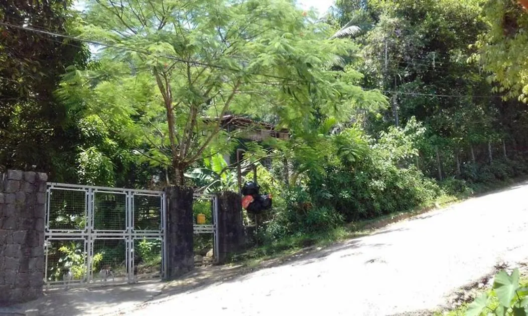 Casa das Árvores-1